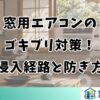 窓用エアコンのゴキブリ対策！侵入経路と防ぎ方