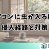 窓用エアコンに虫が入る原因は？侵入経路と対策